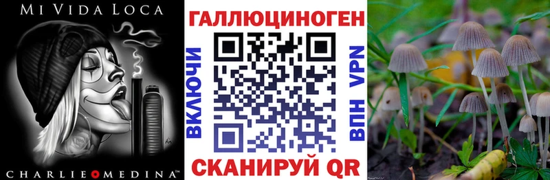 kraken онион  Ачинск  Псилоцибиновые грибы Psilocybe 