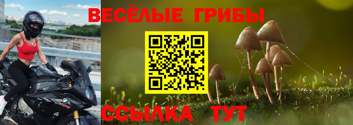 Ачинск  Галлюциногенные грибы Magic Shrooms  Вход с VPN 