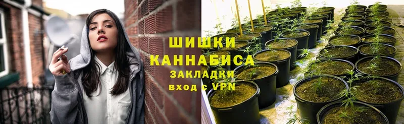 Канабис Ganja  закладки  ОМГ ОМГ вход  Ачинск 